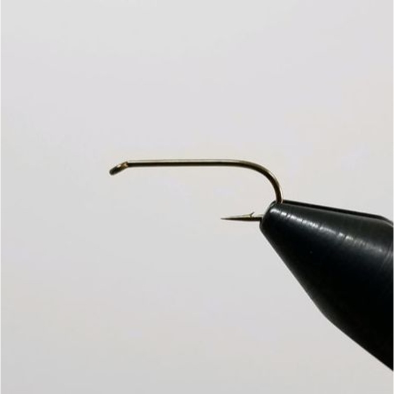 Daiichi 1560 – Traditional Nymph Hook