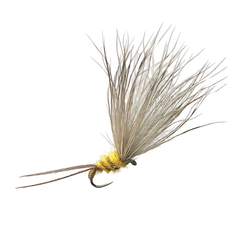 Yellow Pheasant Tail