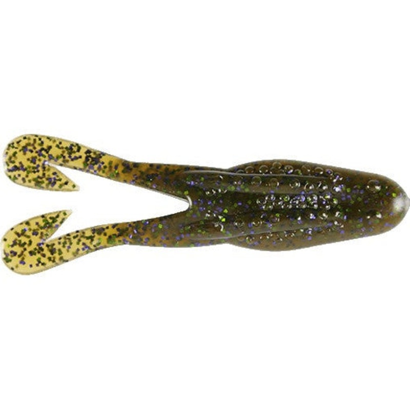 Horny Toad – Zoom