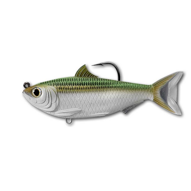Sardine  Harengules – Live Target