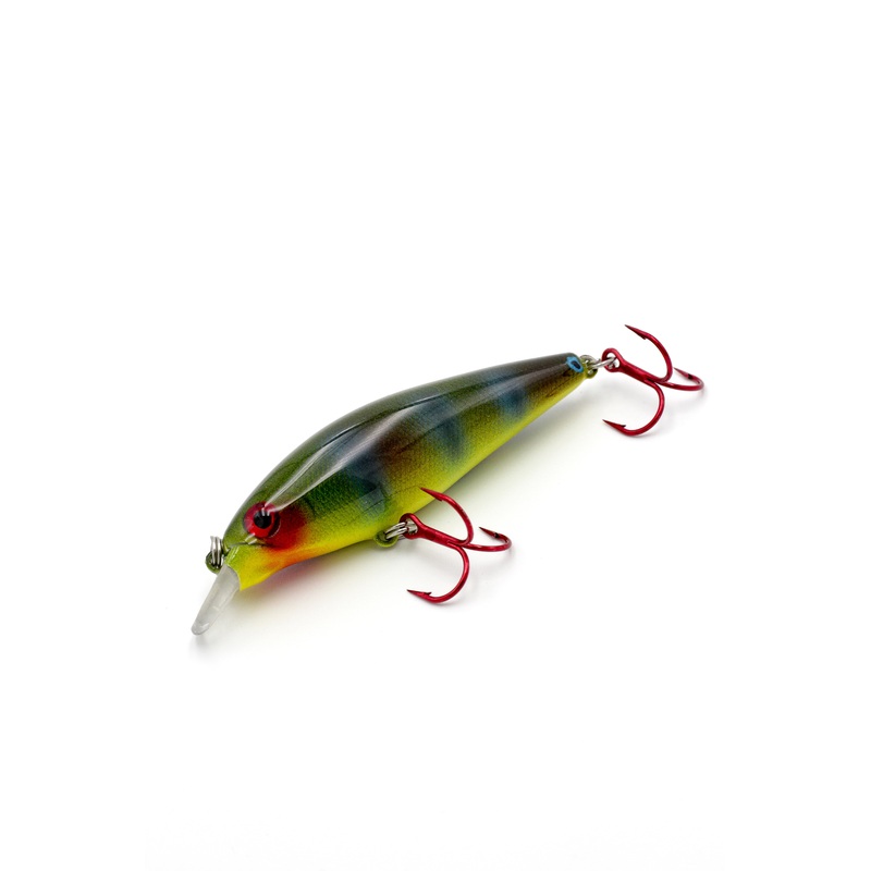 Green Mayan Cichlid – Gill Reaper