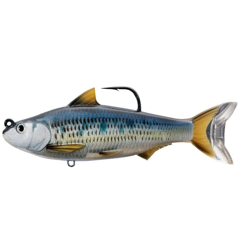 Common Shiner – LiveTarget