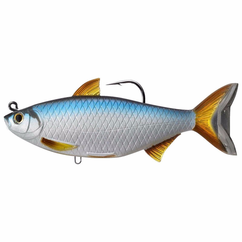 Golden Shiner – Live Target