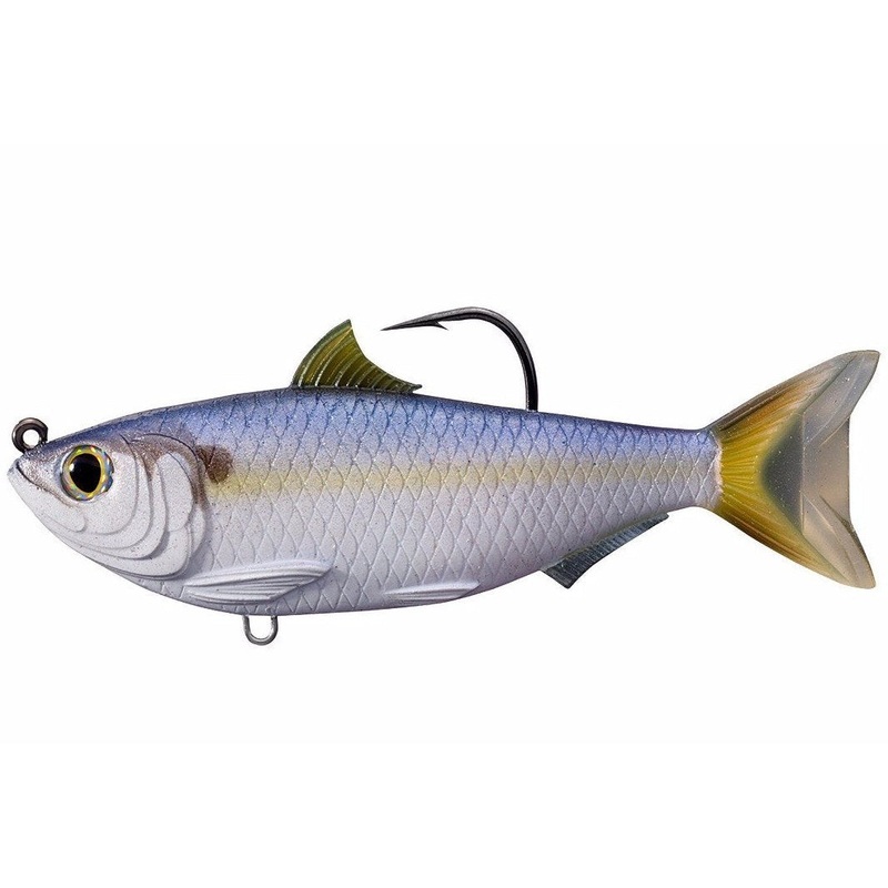 Threadfin Shad 4.5in – Live Target