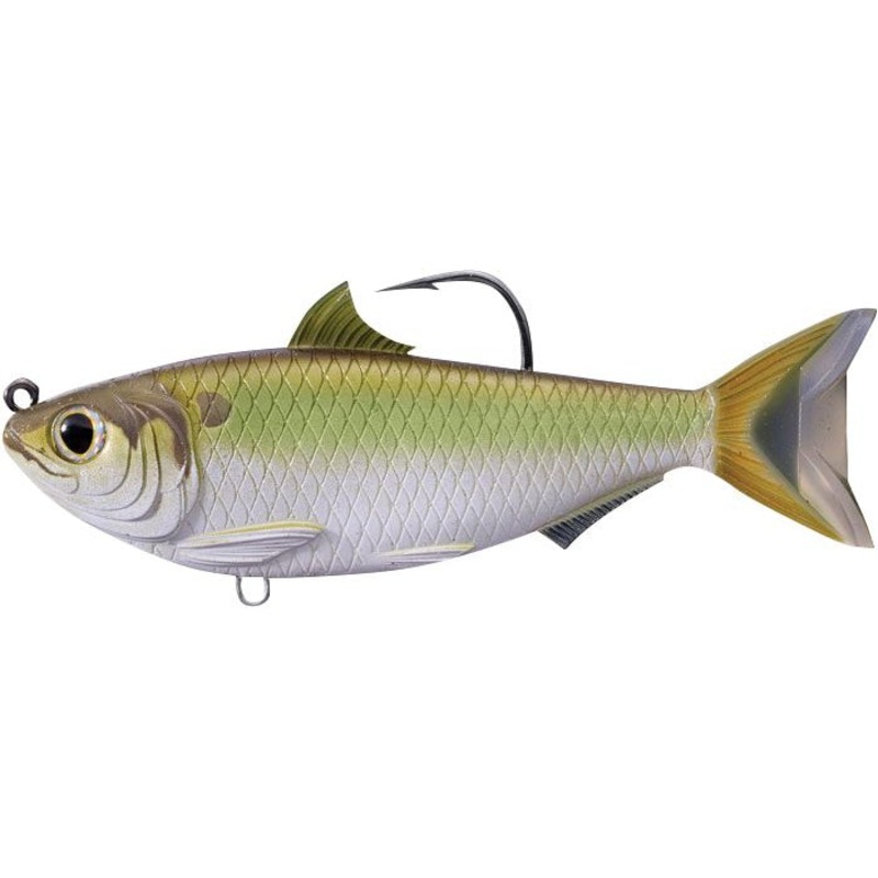 Threadfin Shad – Live Target