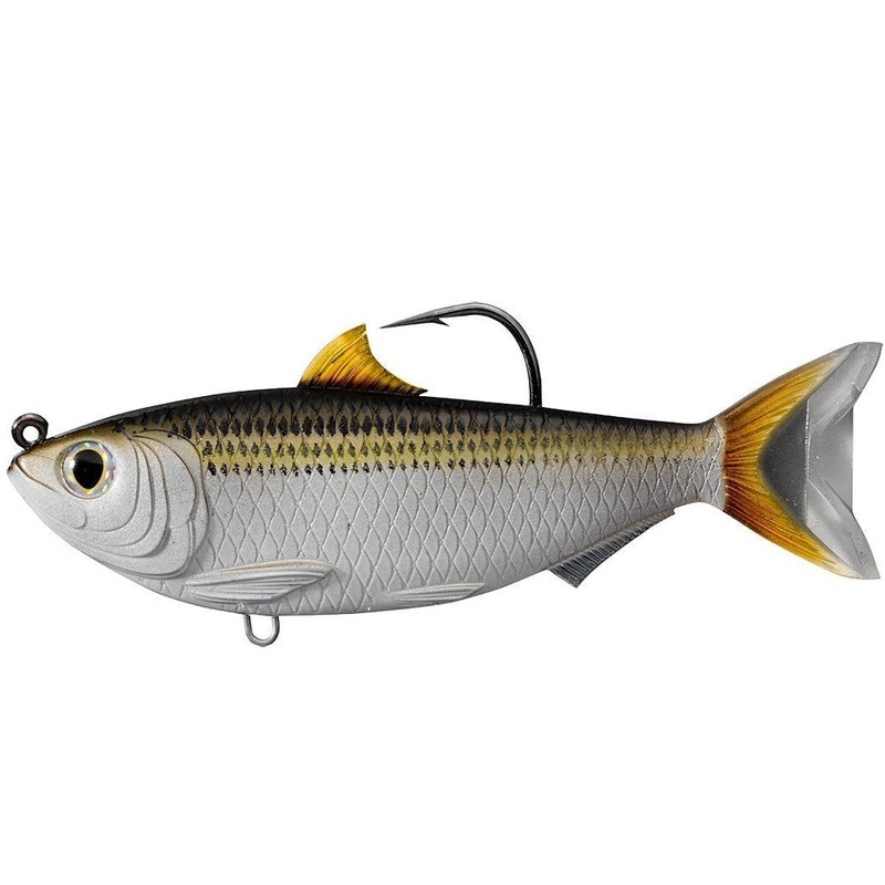 Sardine – Live Target