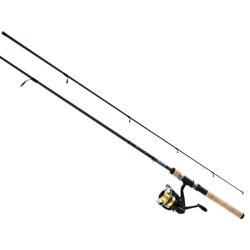 Daiwa D-Shock Spinning Combo