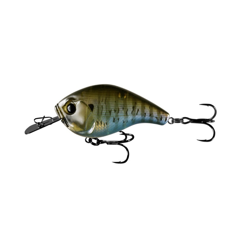 13 Fishing Jabber Jaw