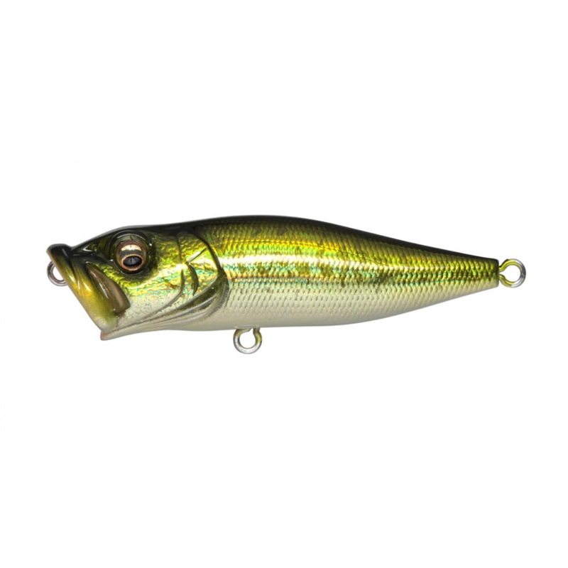 Megabass Pop-X Topwater Popper