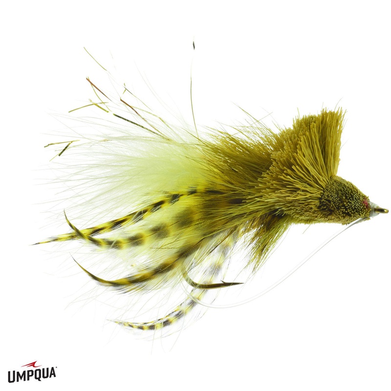 Umpqua Dalhberg Diving Bug