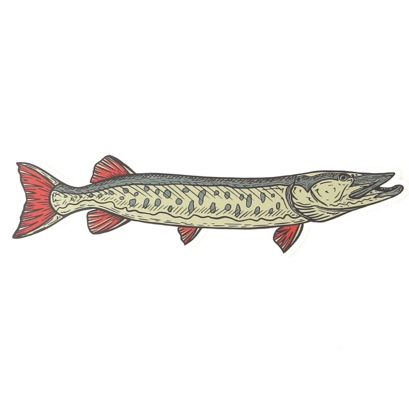 Colored Detailed Fish Sticker