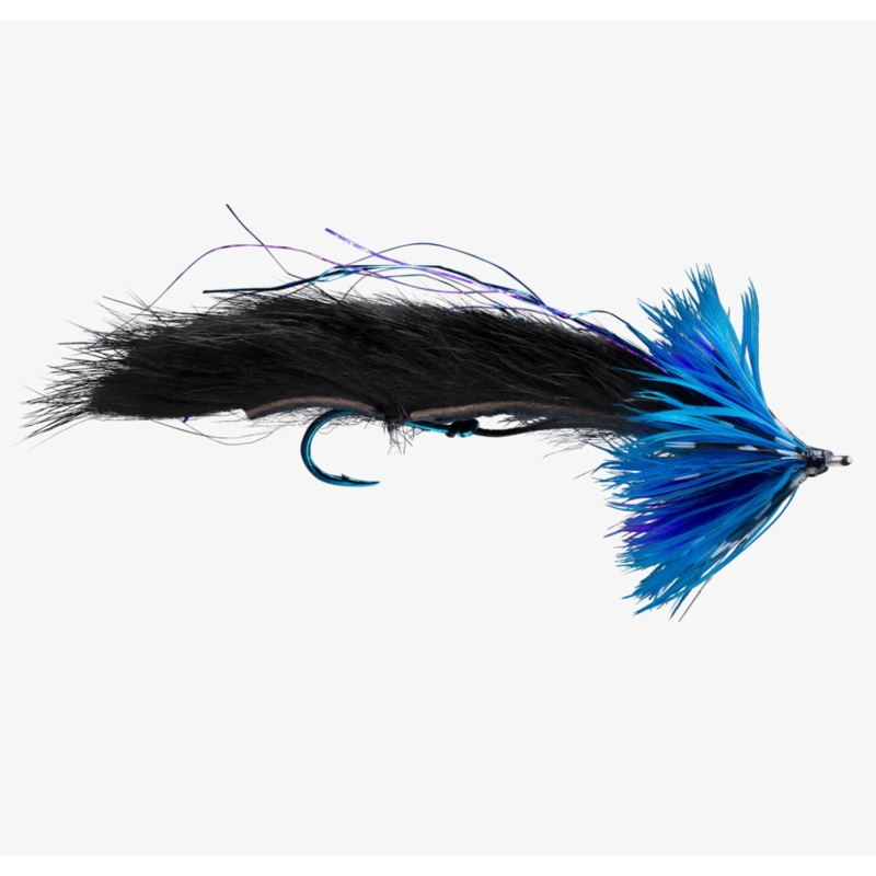 Rio’s String Leech