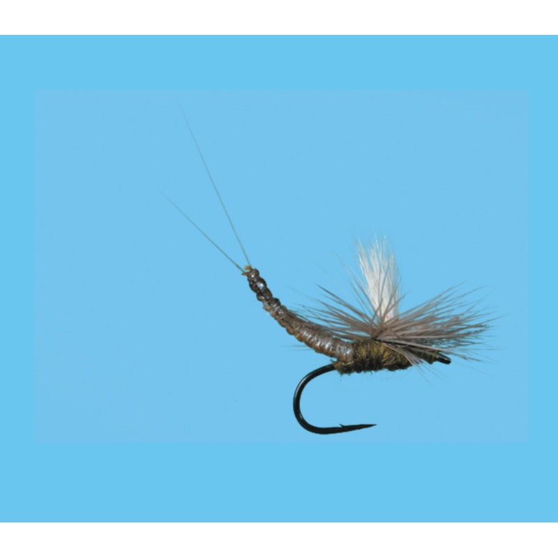 Solitude Parachute Extended Body