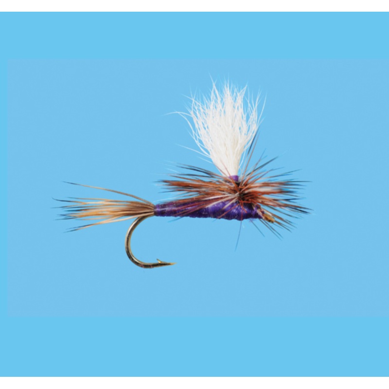 Solitude Parachute Purple Adams