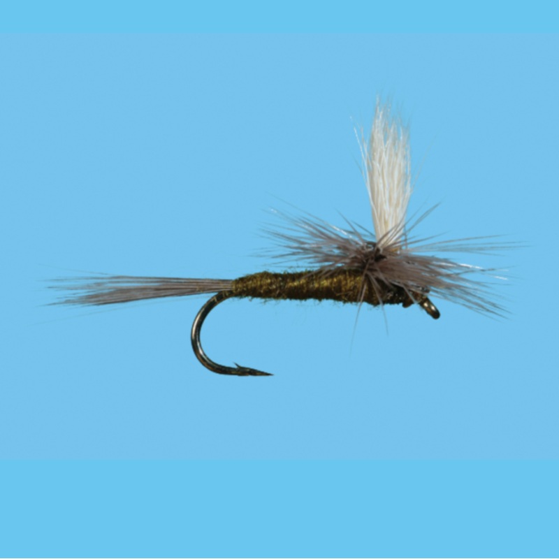 Solitude Parachute BWO