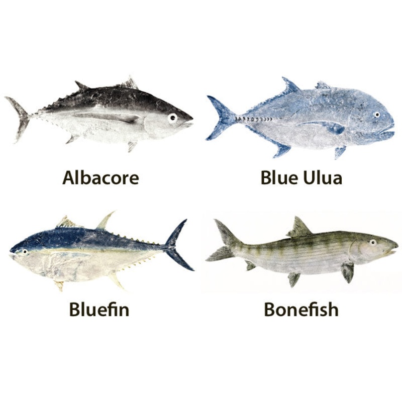 Japanese Gyotaku Fish Art Decals by Marshall Madruga