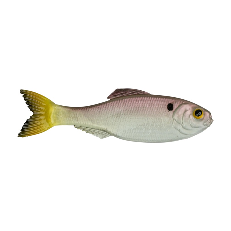 The Panorama Swimbait