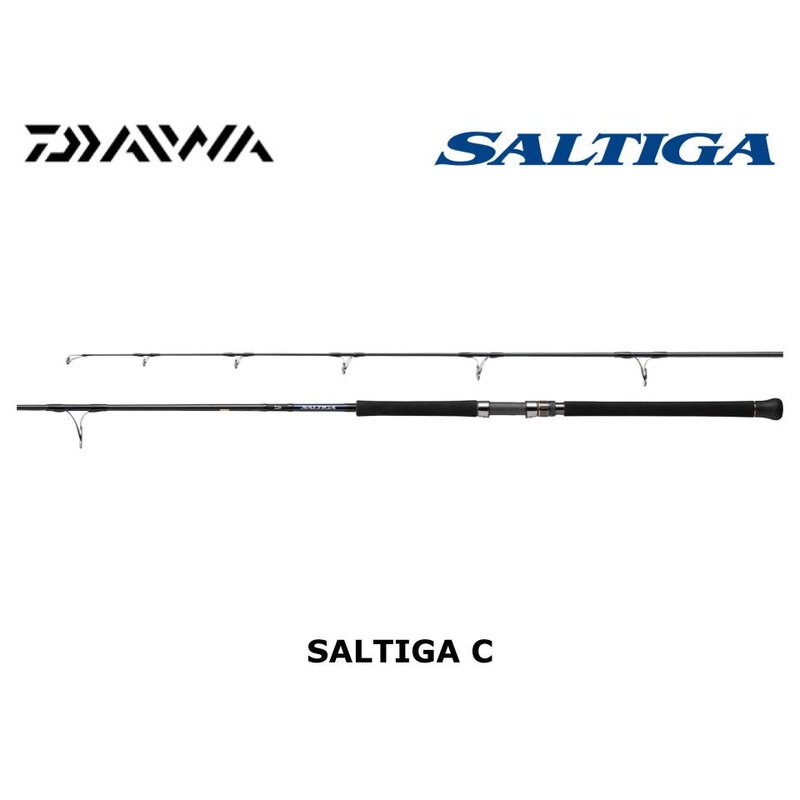 Daiwa 21 Saltiga C 82-4