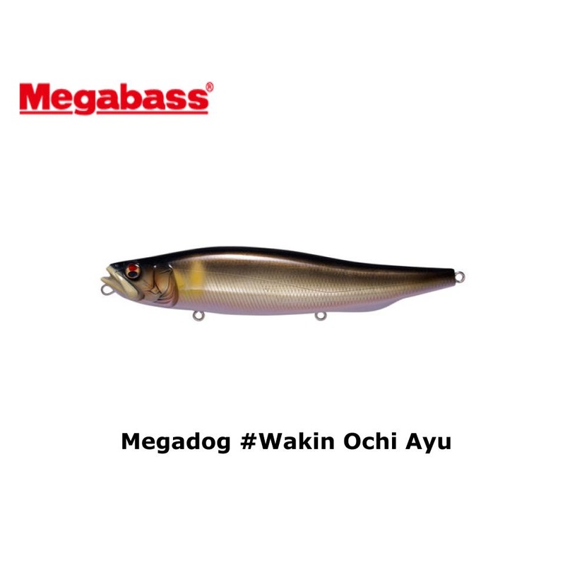 Megabass Megadog #Wakin Ochi Ayu