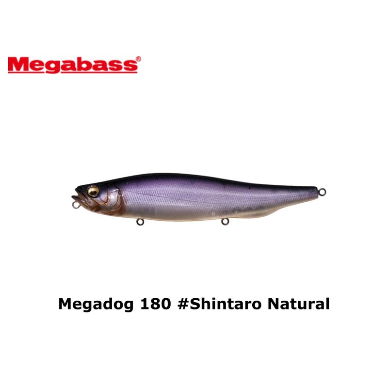 Megabass Megadog 180 #Shintaro Natural