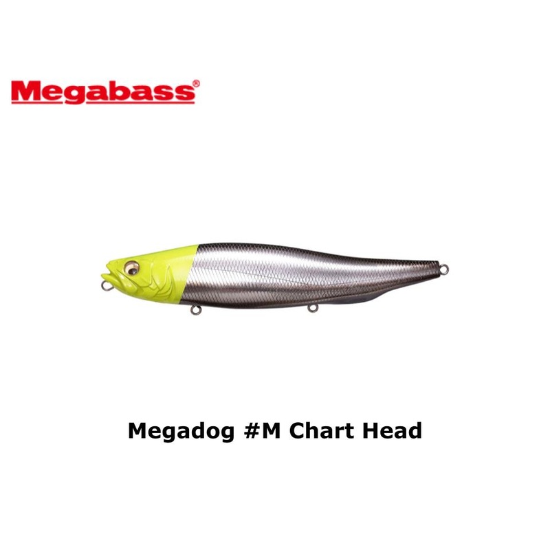 Megabass Megadog #M Chart Head