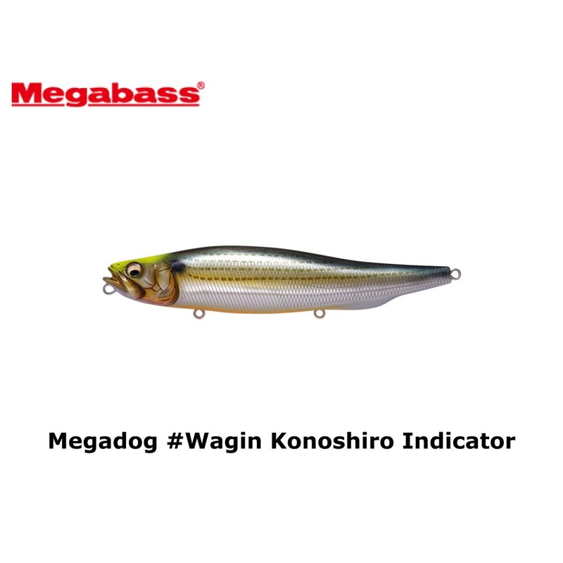 Megabass Megadog #Wagin Konoshiro Indicator